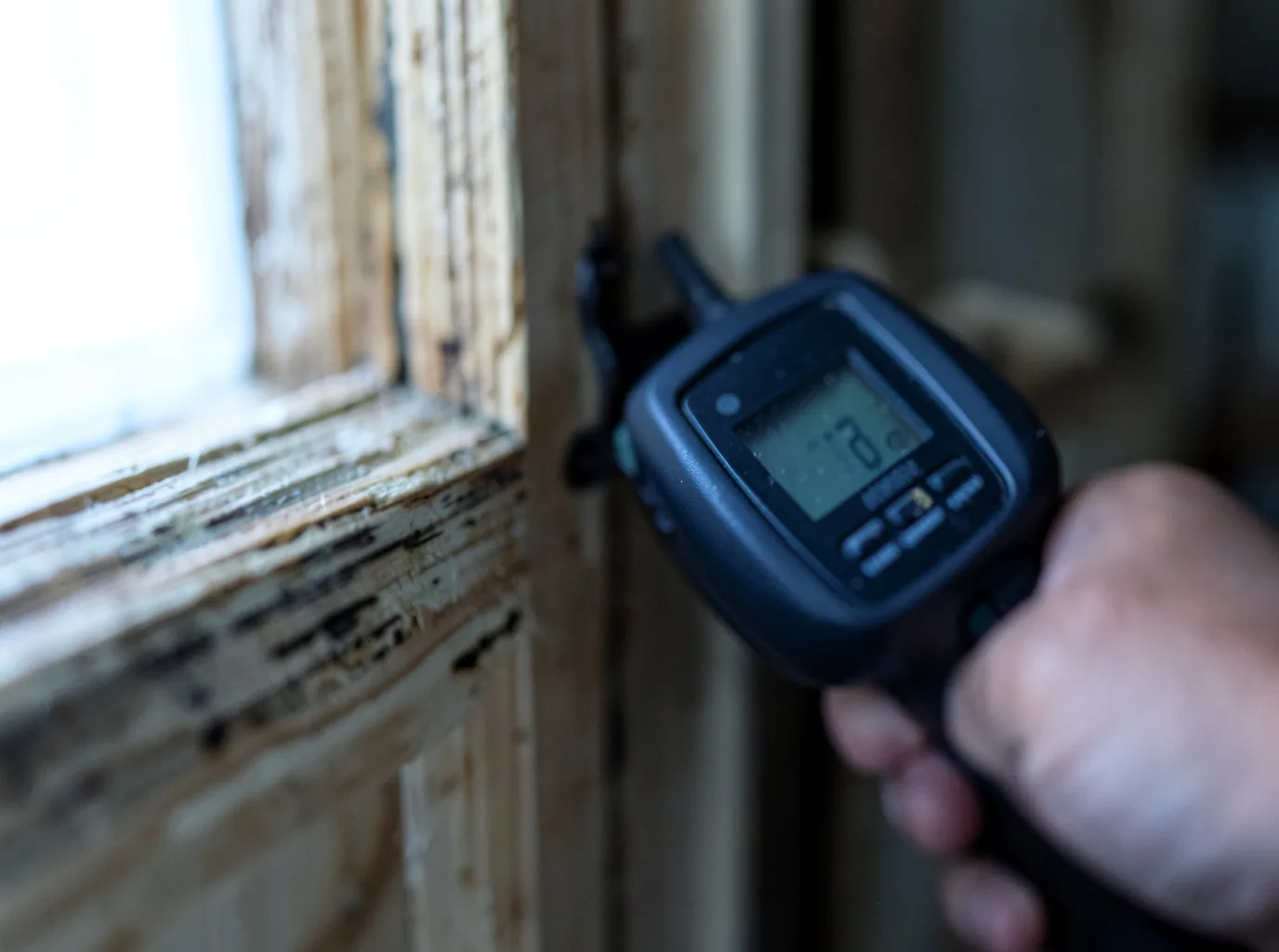 Moisture Inspection And Documentation in Burnett, WI